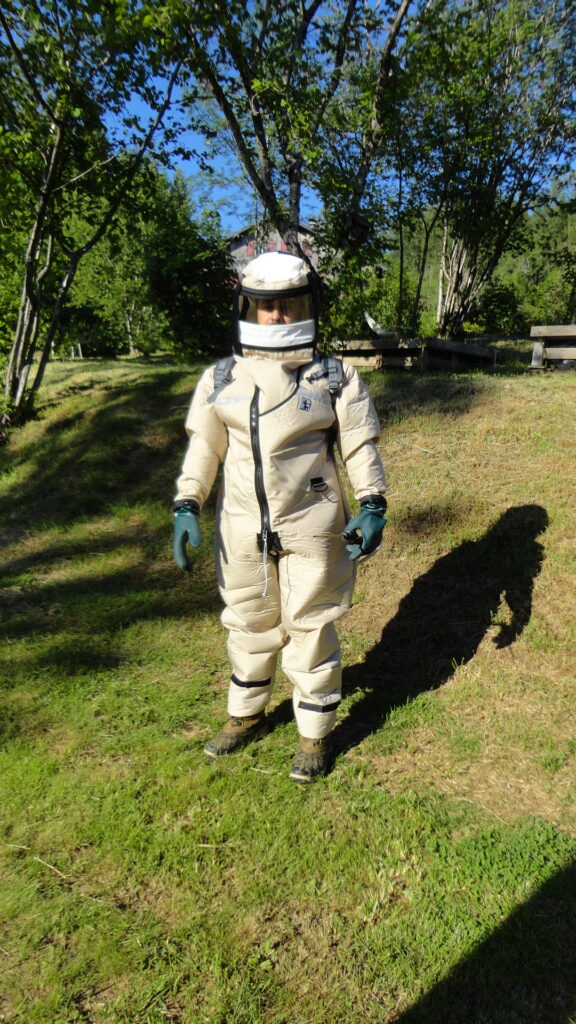 urgence guêpes et frelons - une personne en tenu de protection contre les guêpes avec pulvérisateur