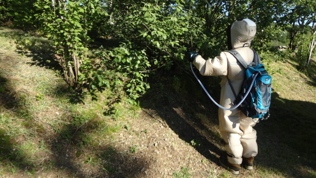 urgence guêpes et frelons - une personne en tenu de protection contre les guêpes avec pulvérisateur