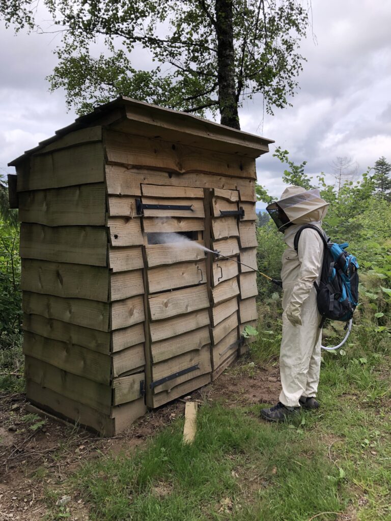 urgence guêpes et frelons - une personne en tenu de protection contre les guêpes avec pulvérisateur devant un cabanon