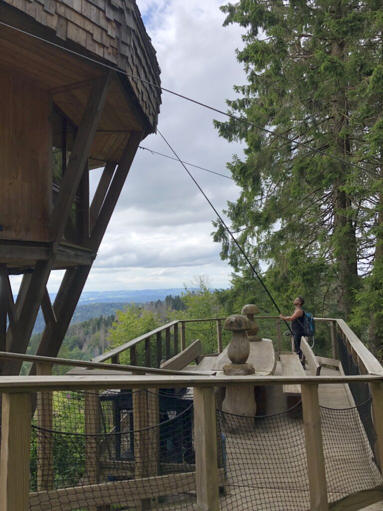 urgence guêpes et frelons - une personne pulvérisant du produit grâce à une grande percher