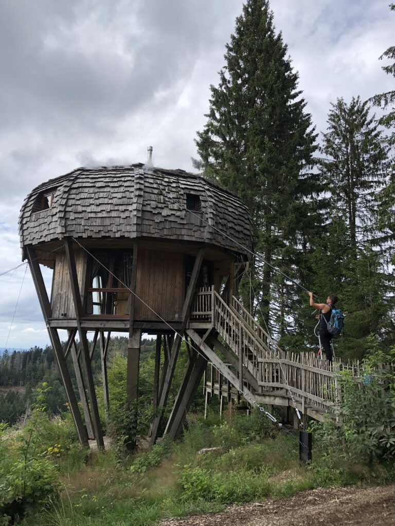 urgence guêpes et frelons - une personne pulvérisant du produit grâce à une grande percher