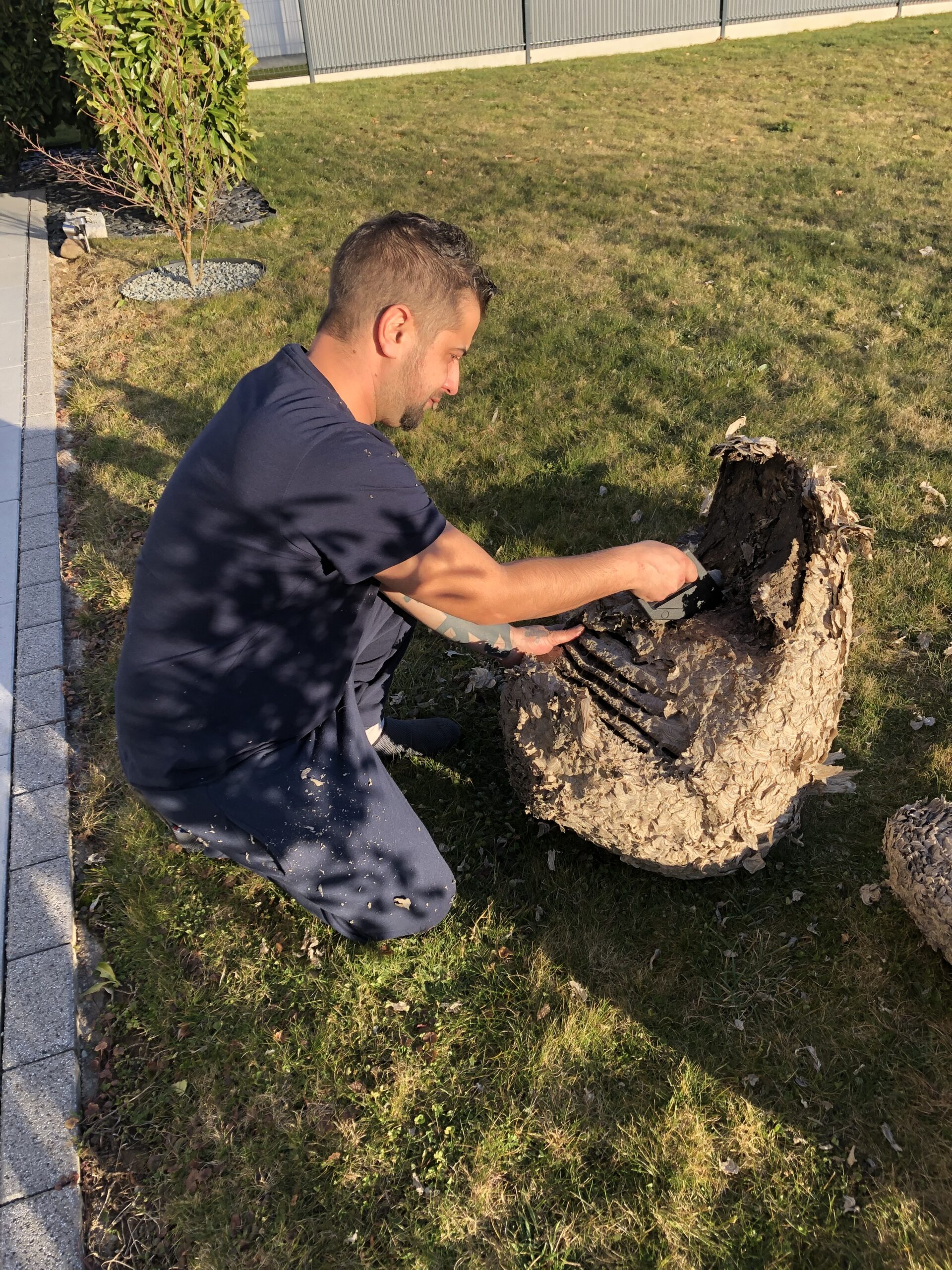 urgence guêpes et frelons - une personne pulvérisant du produit à l'intérieur d'un nid de Frelons