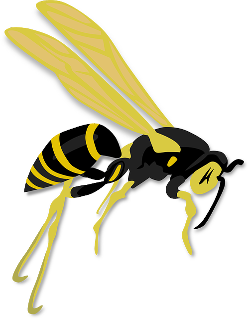 wasp-32311_640 icone de guèpe