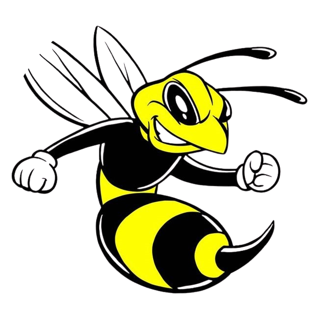 urgence guêpes et frelons - guêpe